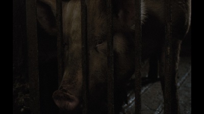 VENEZIA 83 - Il 9 settembre presentazione del cortometraggio 