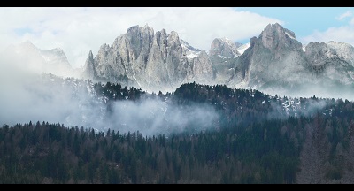 VENEZIA 83 - �Holy Wood Dust�, Un elogio degli alberi