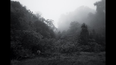CINEMA IN VERDE 4 - Il Ginkgo d�Oro va a La Reserva, storia di una guardaboschi del Chiapas impegnata a difendere il proprio territorio